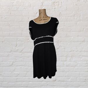 Express Short Sleeved Sweater Dress